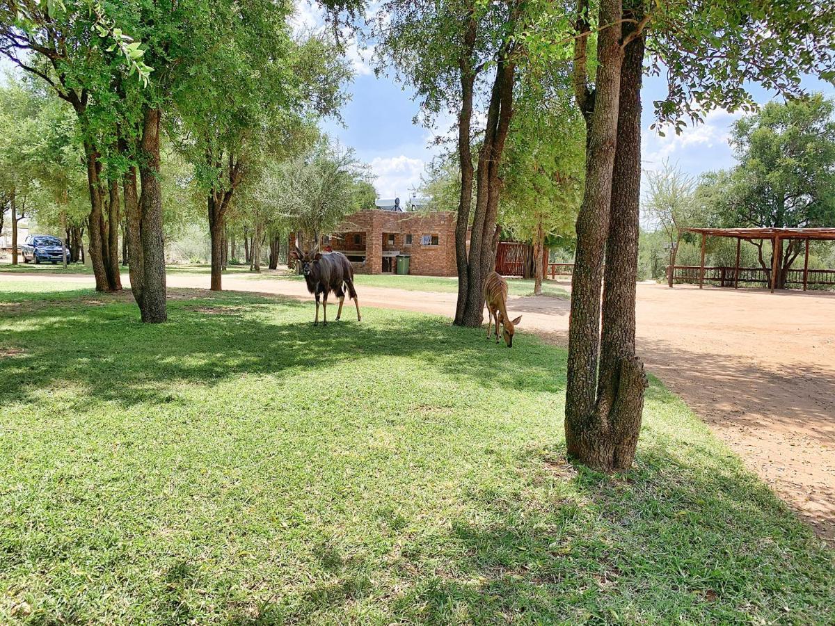 Klipdrift Tshikwalo Game Lodge מראה חיצוני תמונה